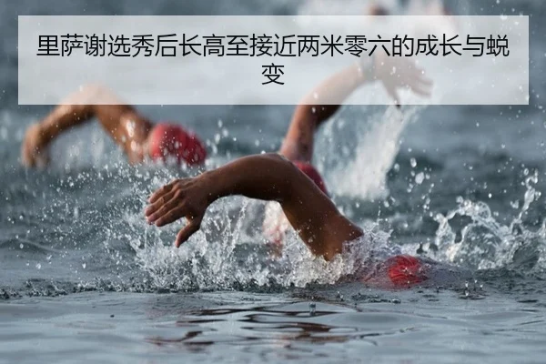 里萨谢选秀后长高至接近两米零六的成长与蜕变